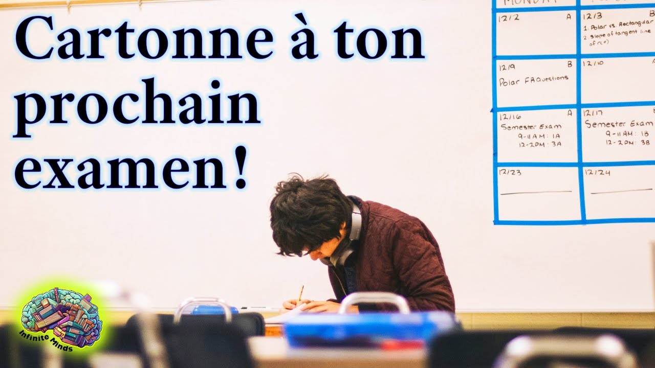 Découvrez la vérité sur les nuits blanches 🤓