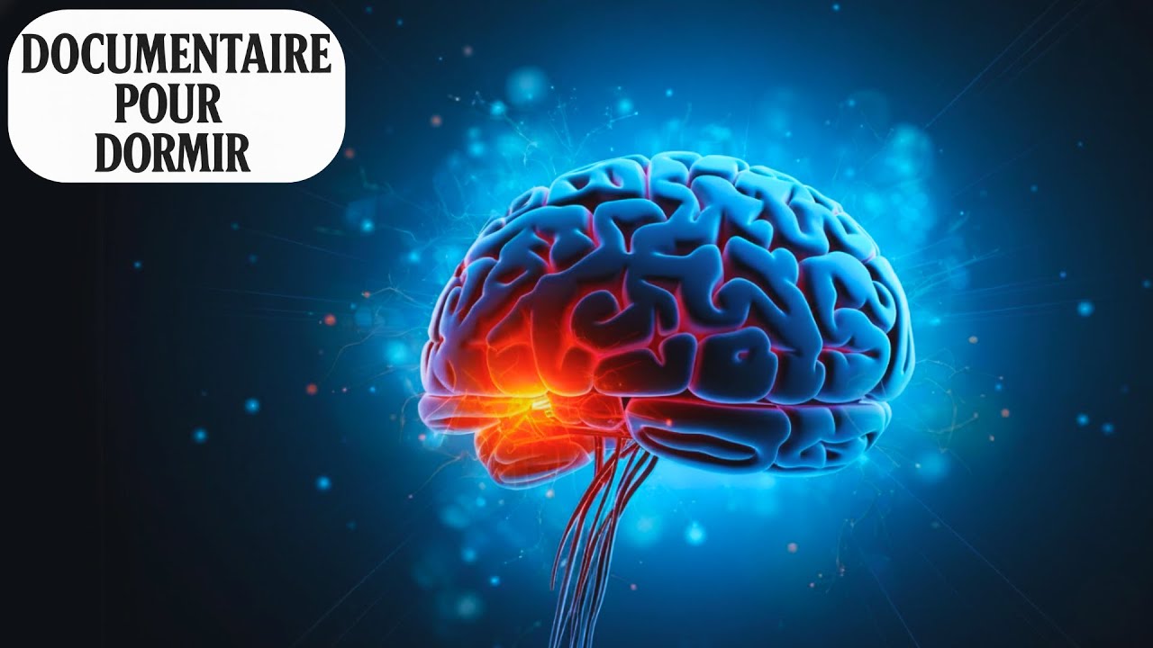 Science pour dormir | Les rêves et le cerveau endormi : ce que la science sait jusqu’à présent