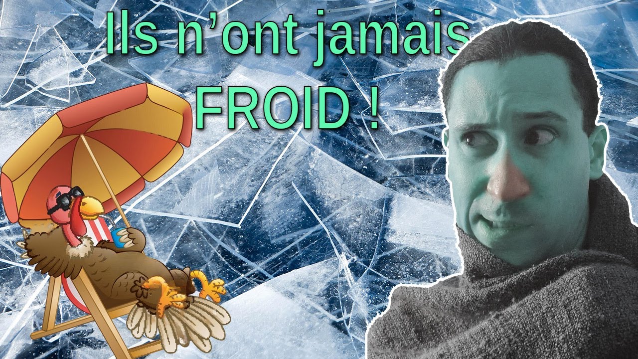 Pourquoi les oiseaux n'ont JAMAIS froid? ( 5 Minutes pour tout savoir)