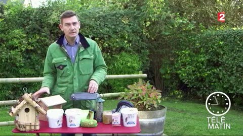 Faune - Aider les oiseaux à mieux supporter l’hiver