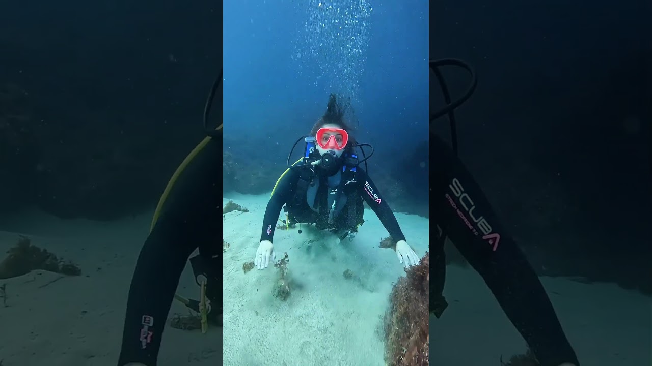 Plongée sous marine à 1h30 de Tanger, Belyounech avec Padi. #maroc #voyagefacile #activités