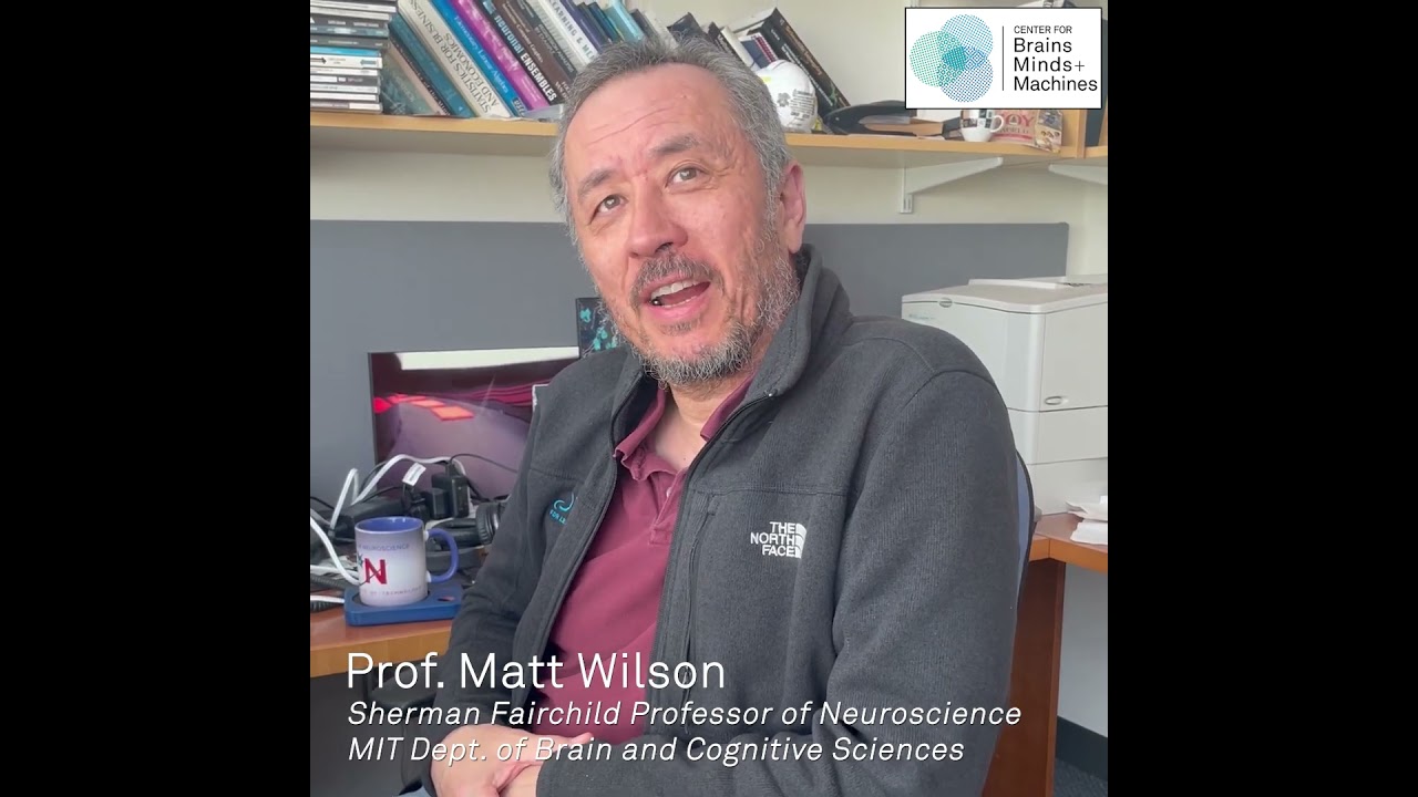 Can our brain hear when we're asleep?