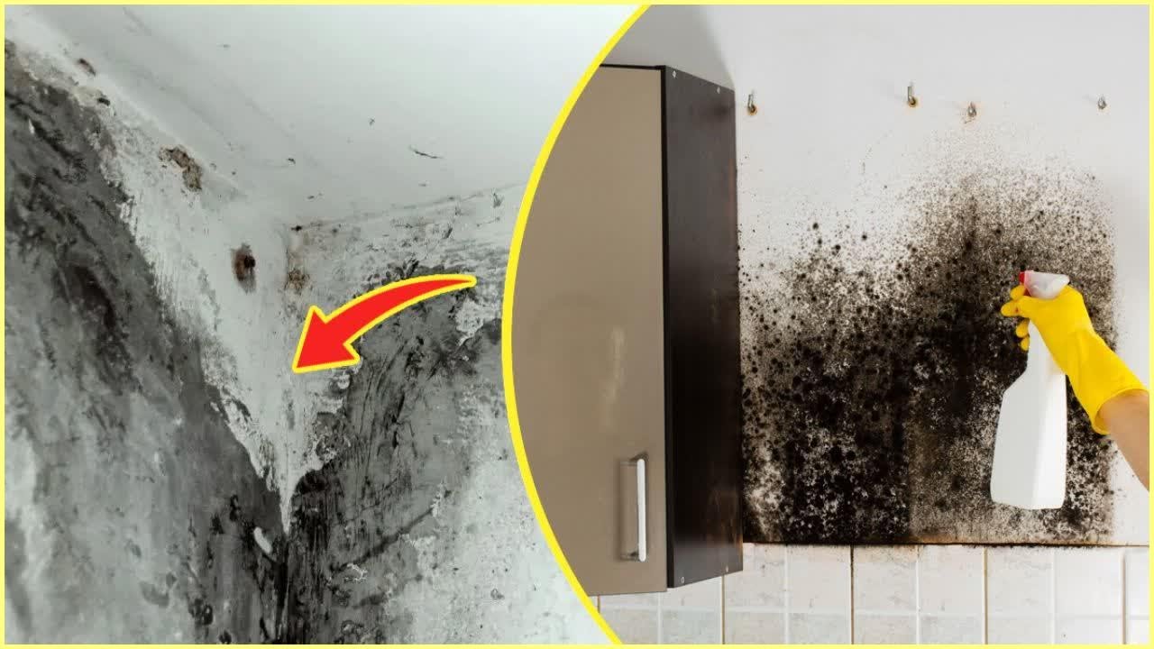Voici comment éliminer l’humidité des murs naturellement